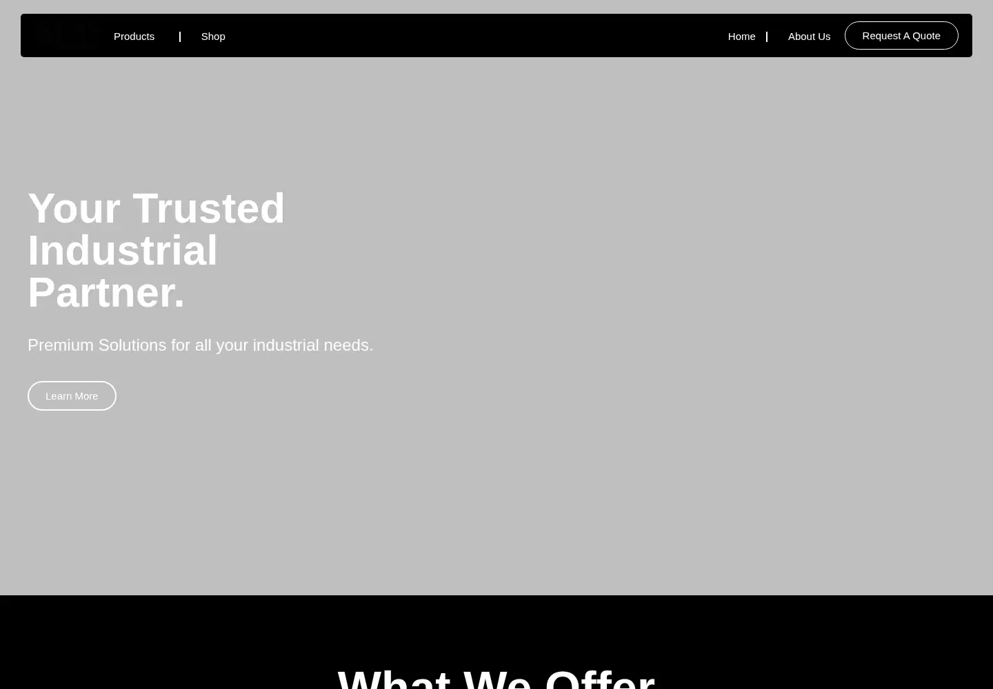 Captured homepage of kennexport.com in the current scan
