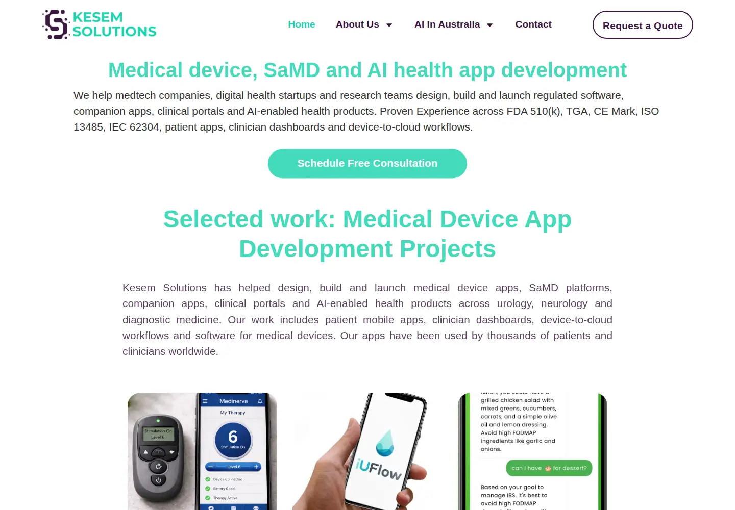 Captured homepage of kesemsolutions.com in the current scan