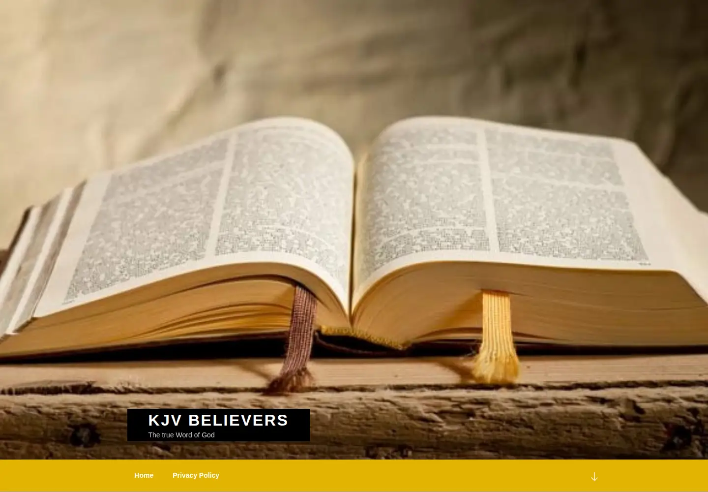 Screenshot of kjvbelievers.com
