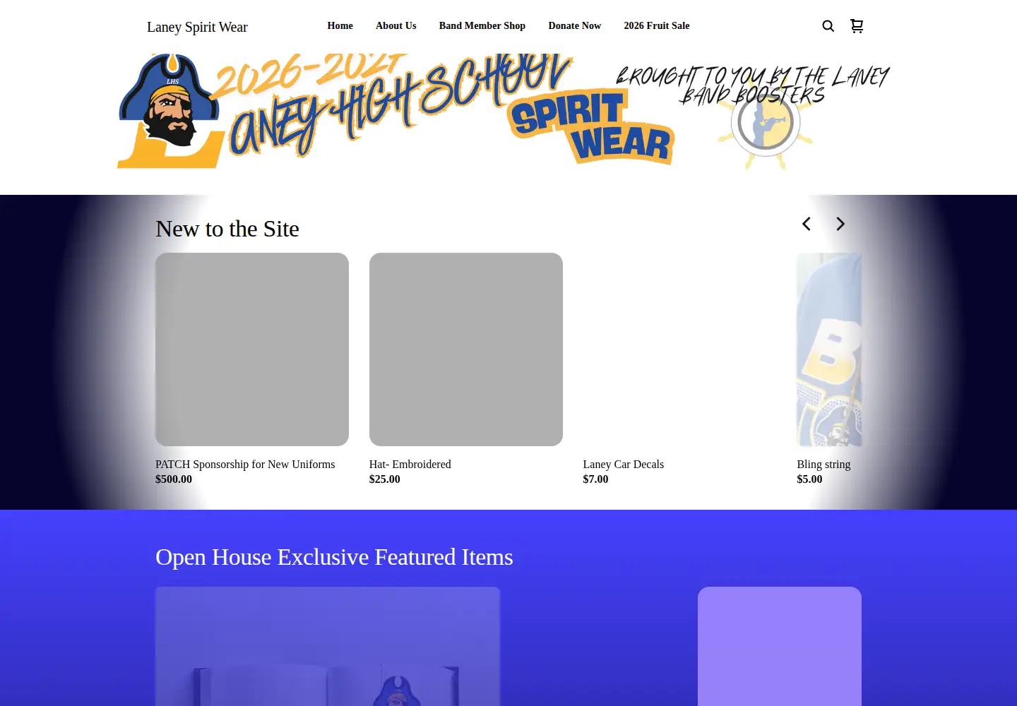 Screenshot of laneyspiritwear.com
