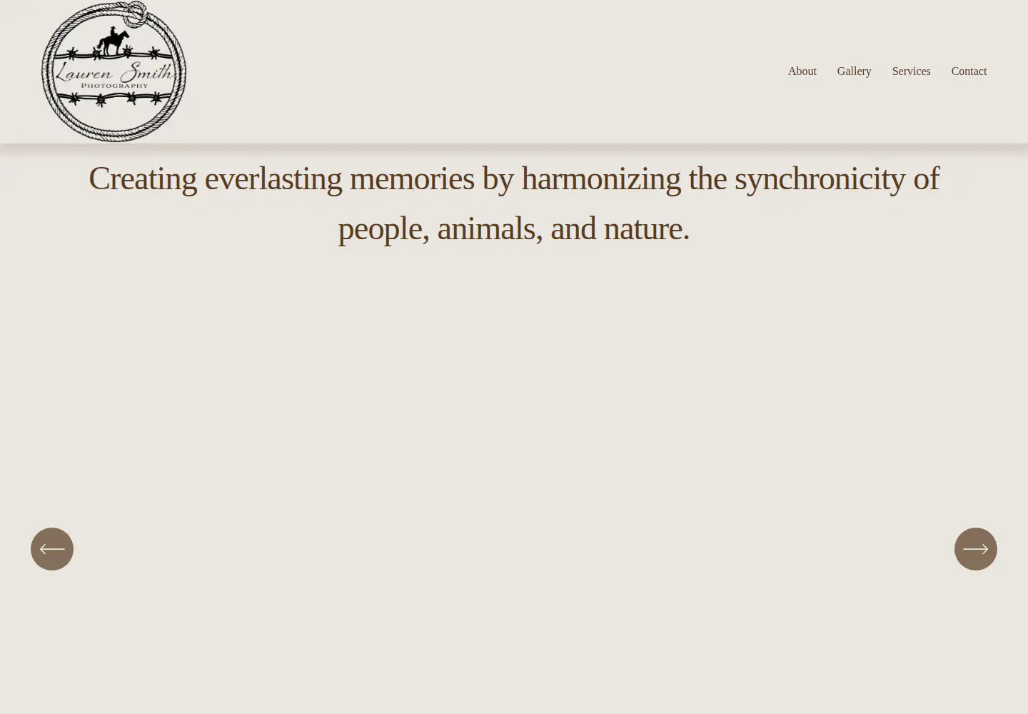 Captured homepage of laurensmithgallery.com in the current scan