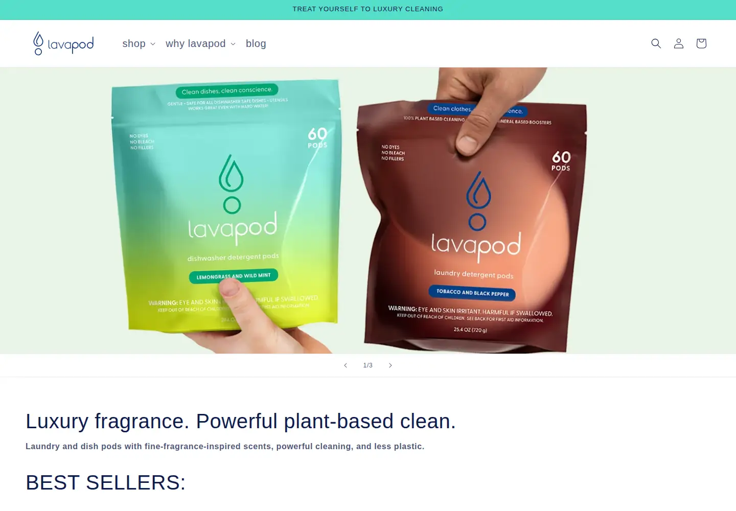 Screenshot of lavapodusa.com