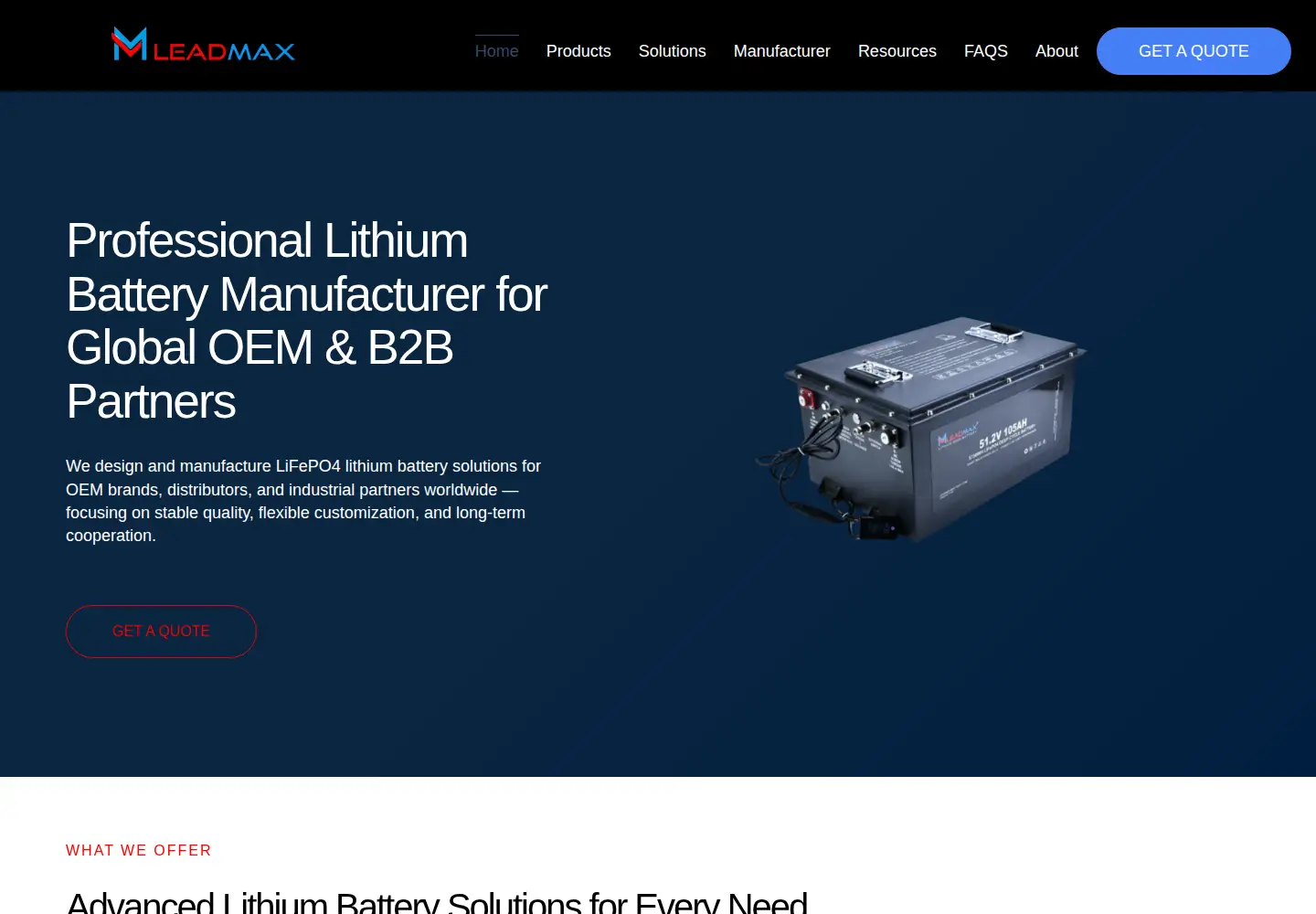 Captured homepage of leadmaxbattery.com in the current scan