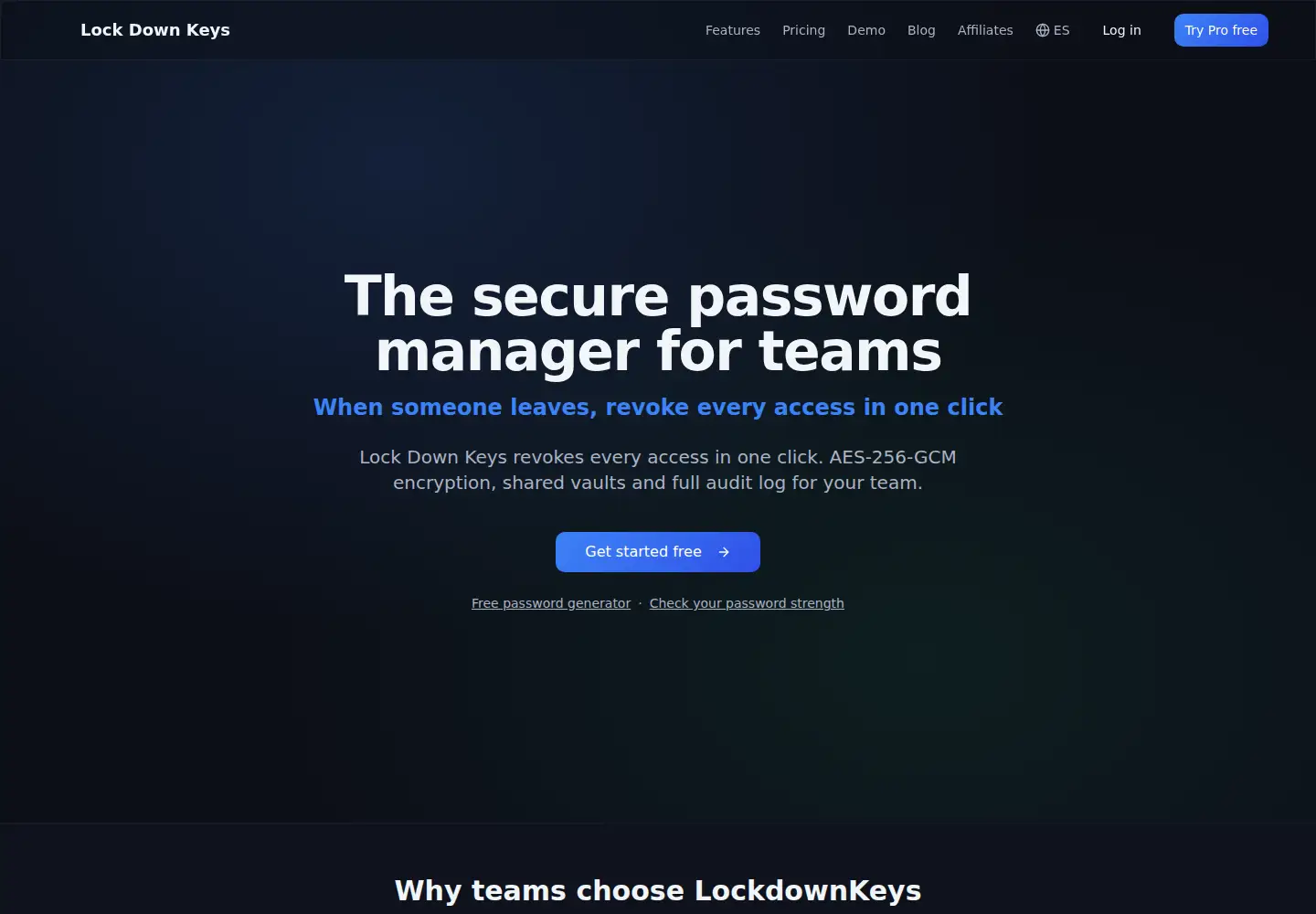 Captured homepage of lockdownkeys.com in the current scan