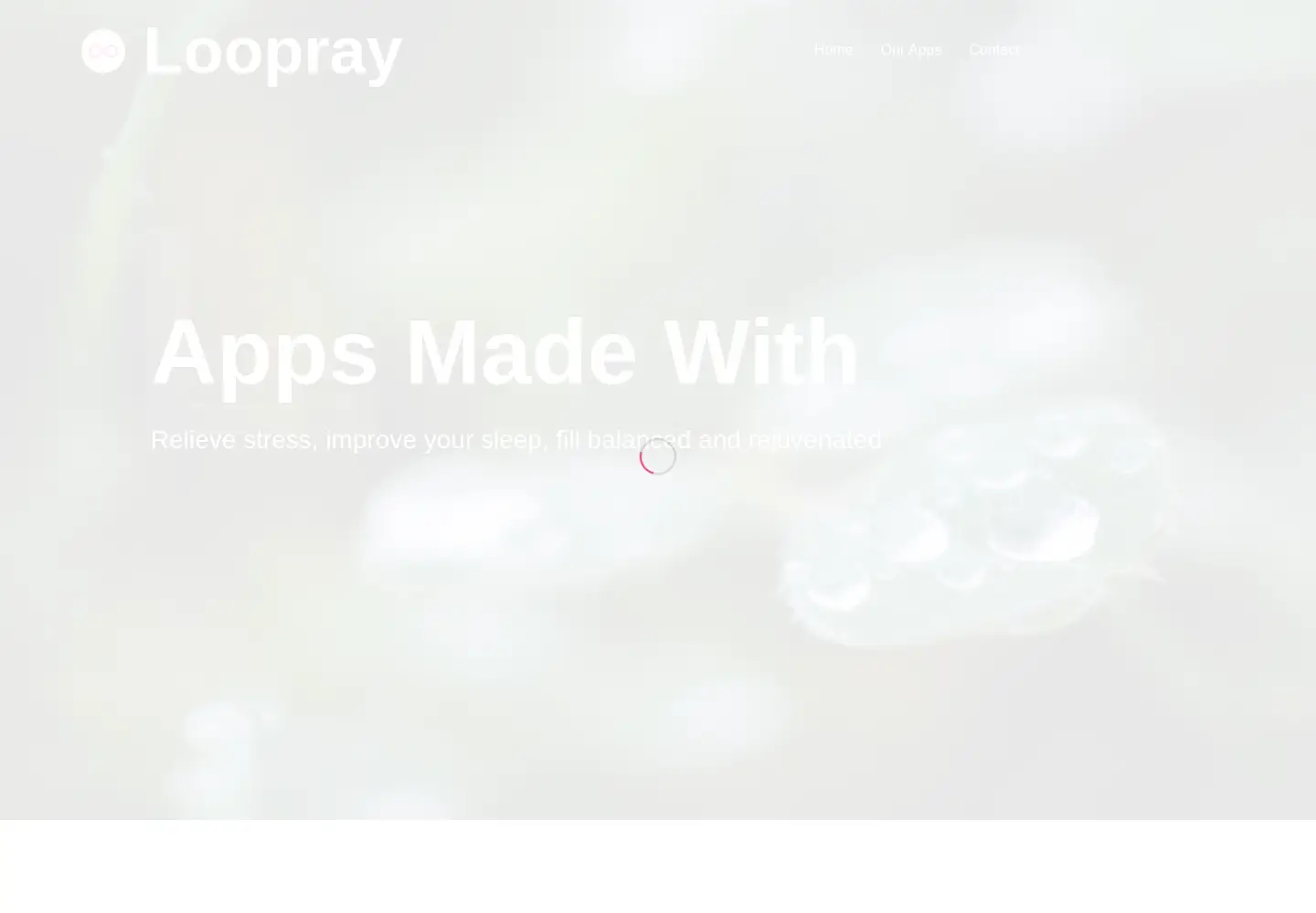 Captured homepage of loopray.com in the current scan