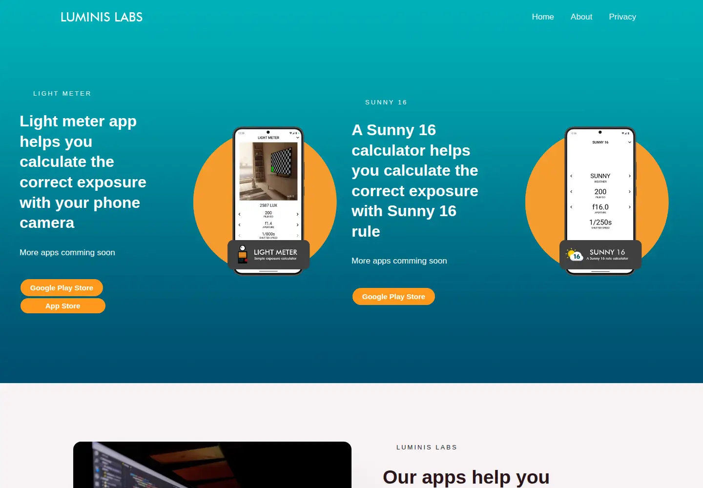 Captured homepage of luminis-labs.com in the current scan