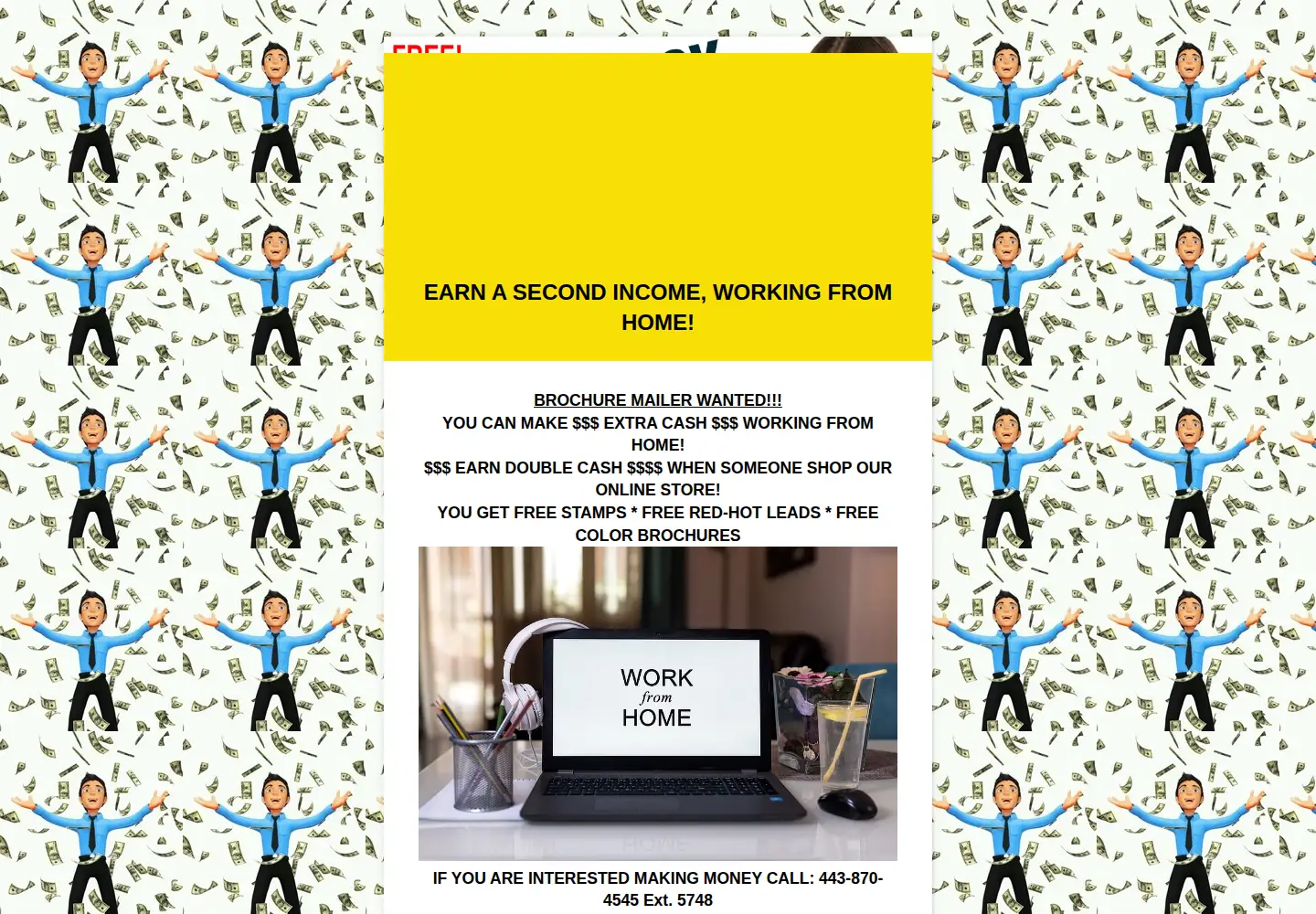 Screenshot of mailbrochurefromhome.com