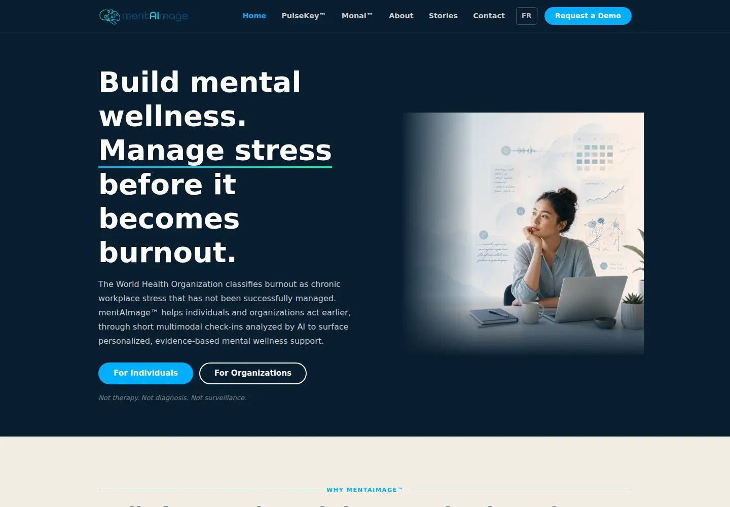 Captured homepage of mentaimage.com in the current scan