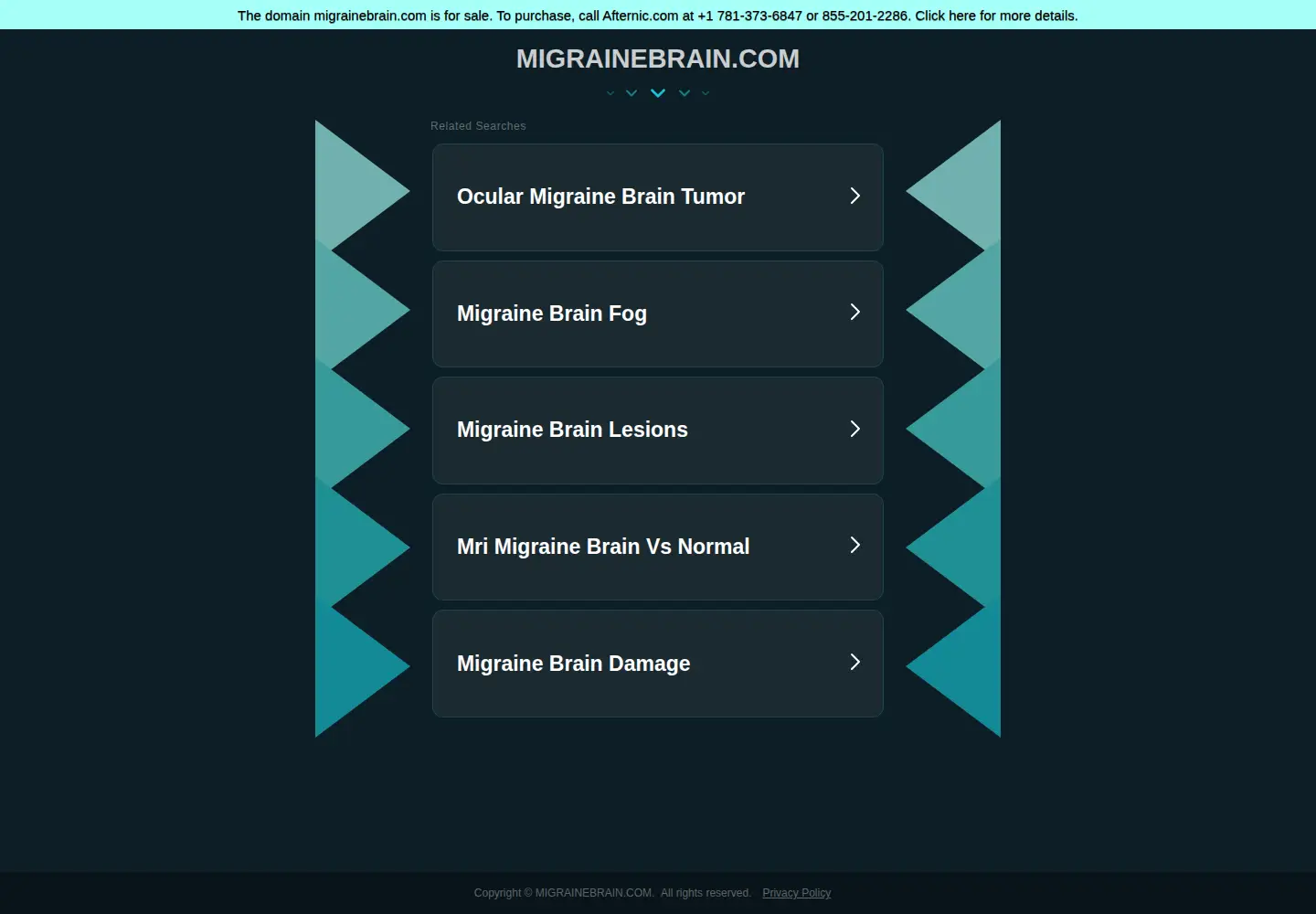 Captured homepage of migrainebrain.com in the current scan