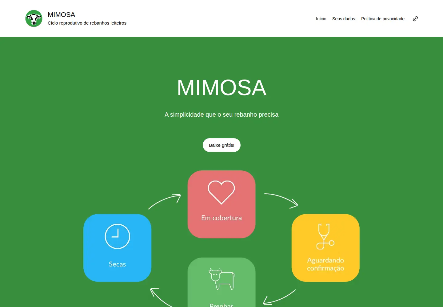 Captured homepage of mimosa-app-rebanhos-leite.com in the current scan