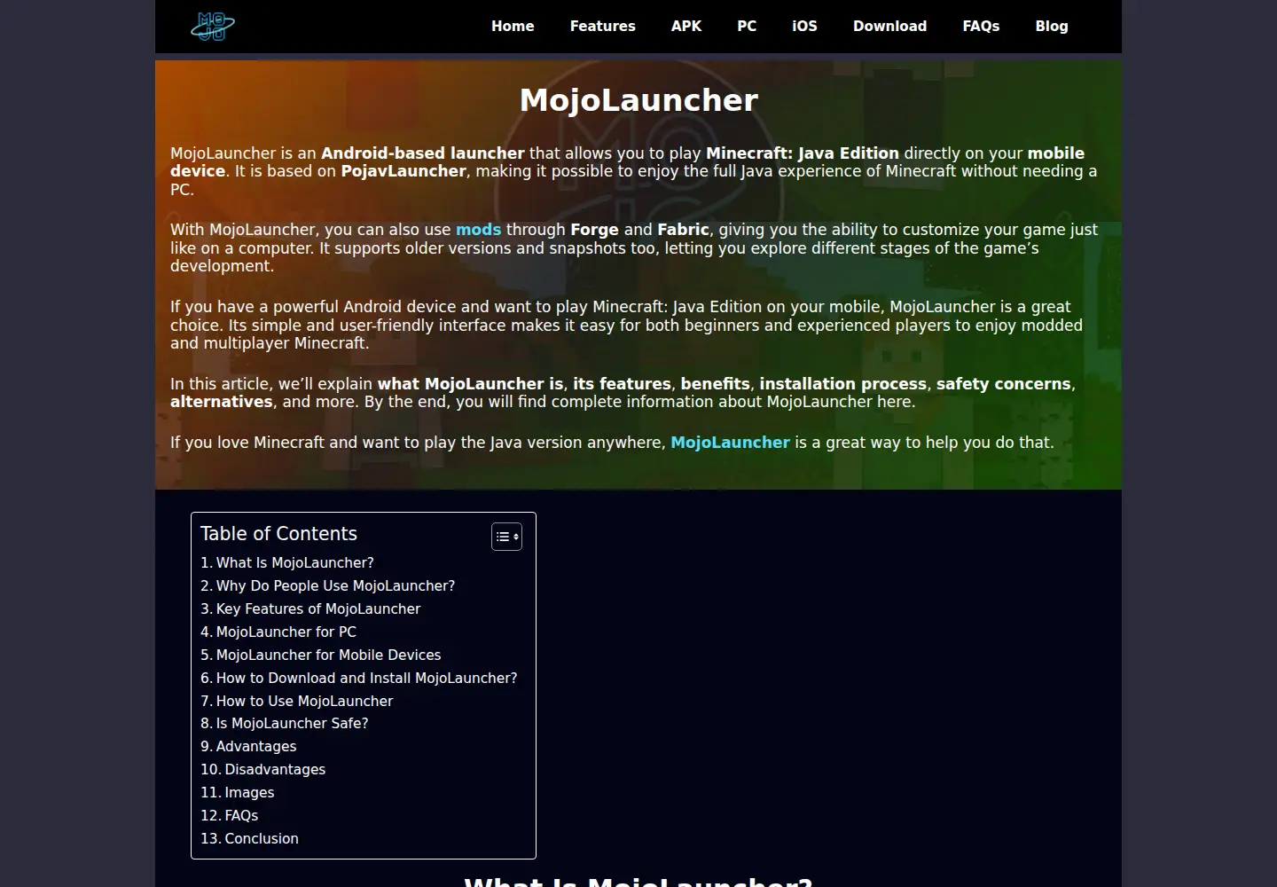 Screenshot of mojolauncher.com
