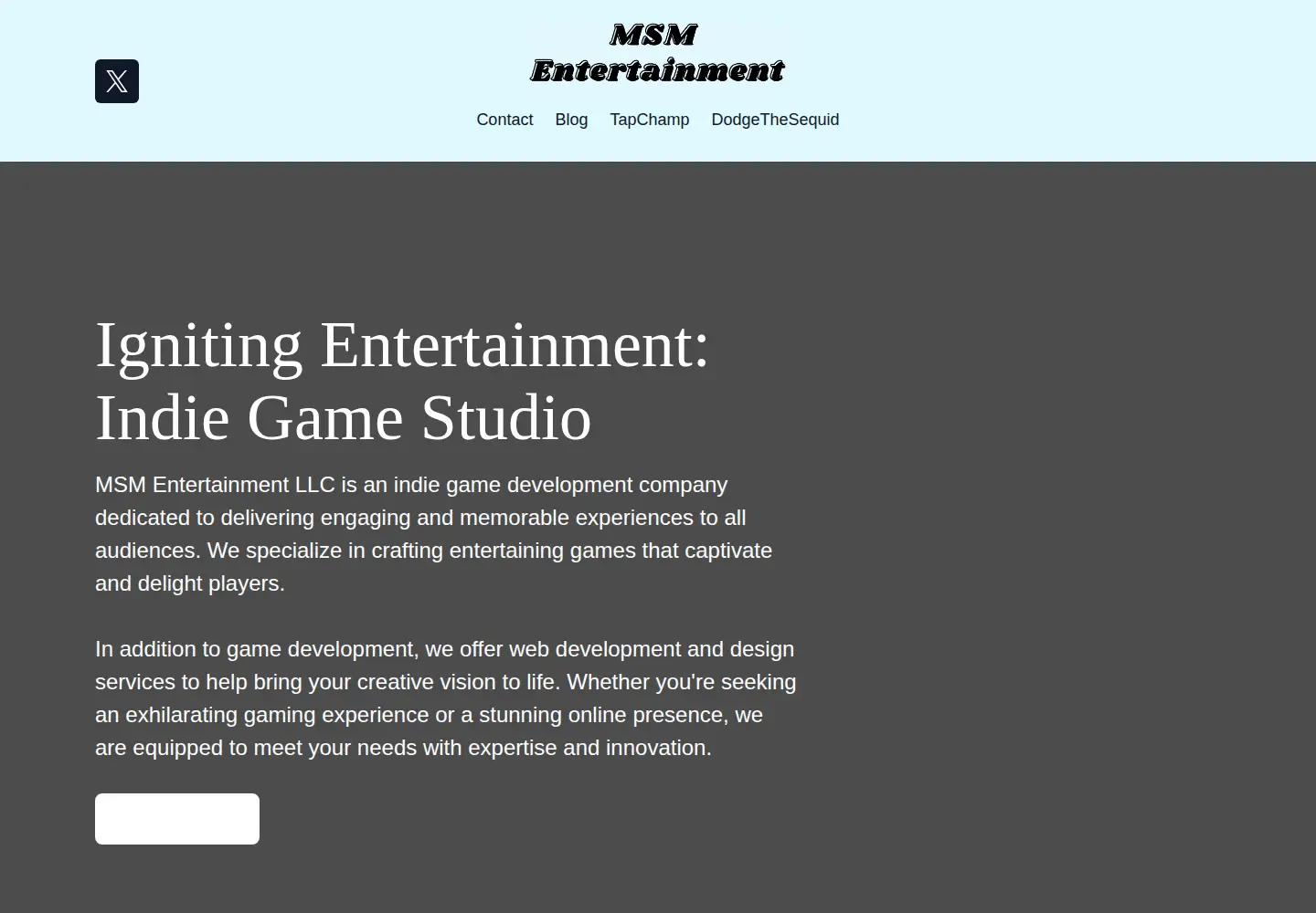 Captured homepage of msmentertainmentllc.com in the current scan