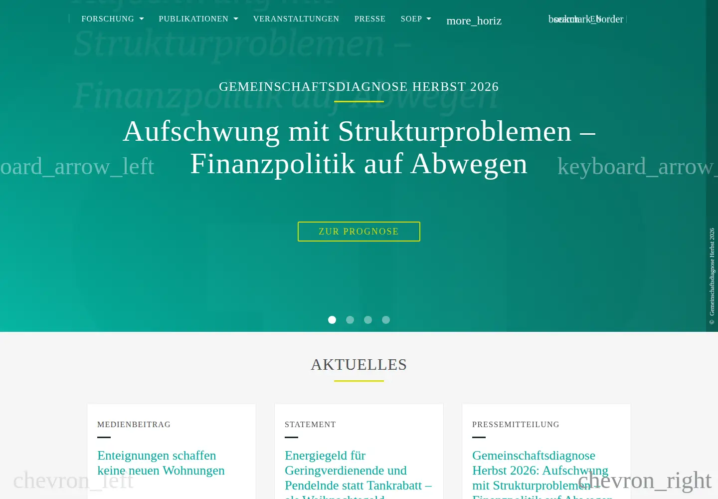 Screenshot of diw.de