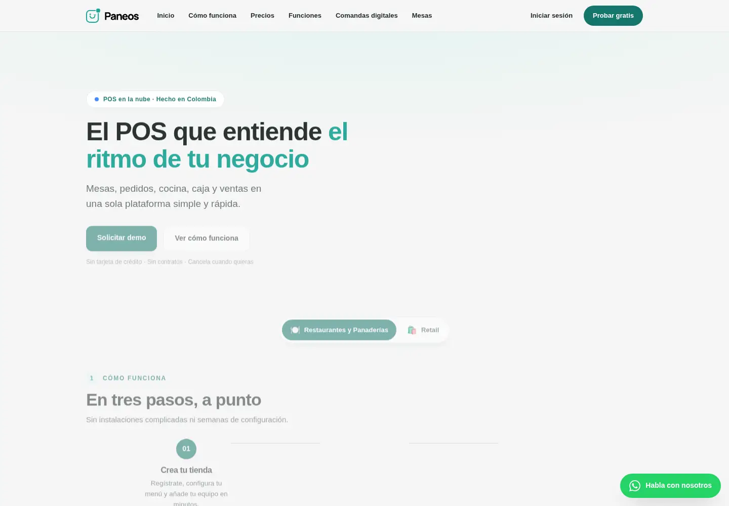 Captured homepage of paneos.com in the current scan