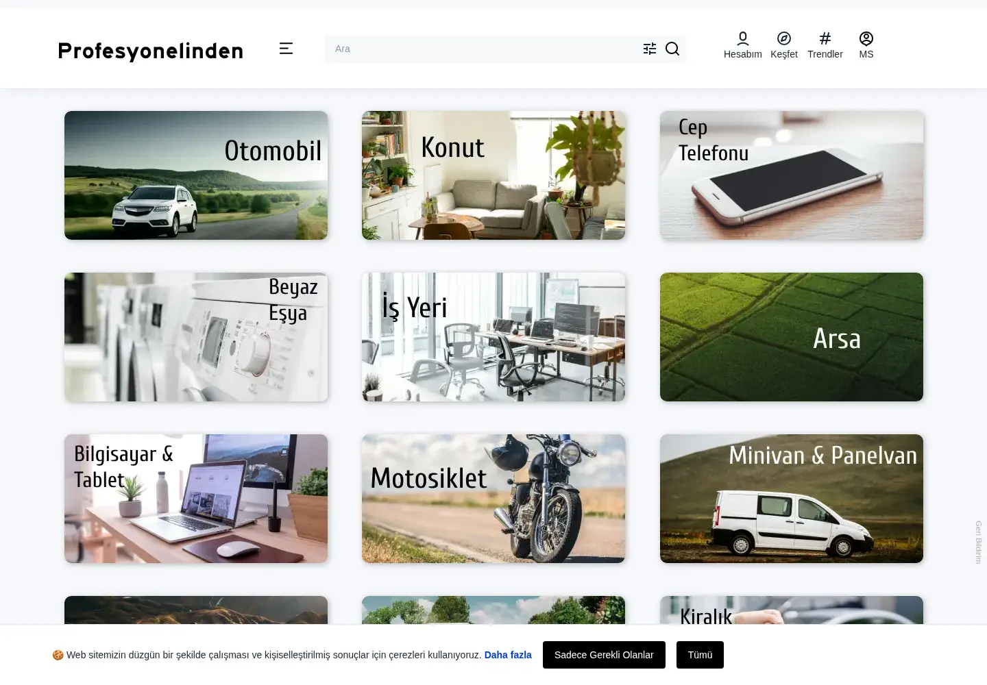 Screenshot of profesyonelinden.com