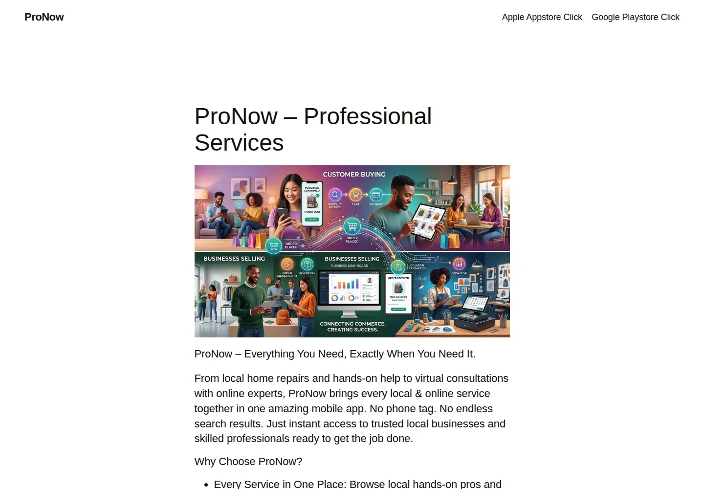 Screenshot of pronowapp.com