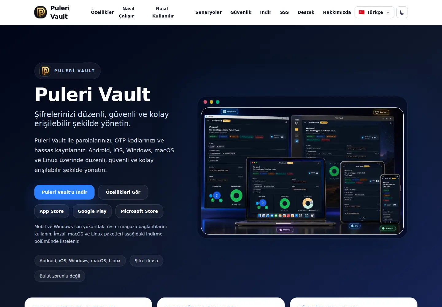 Screenshot of pulerivault.com