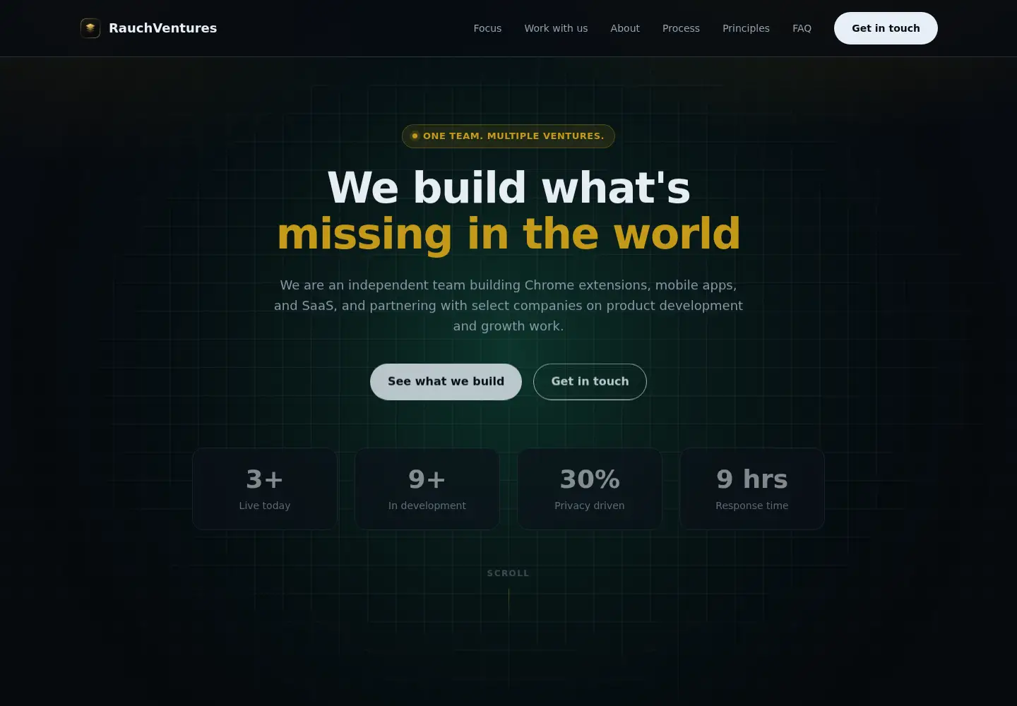 Screenshot of rauchventures.com