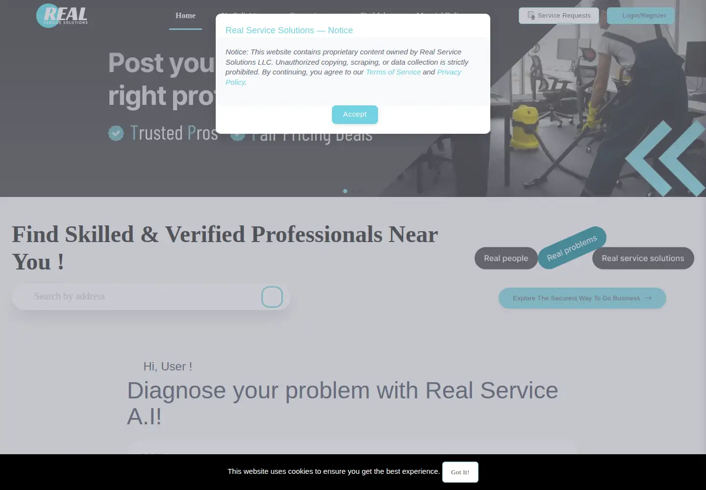 Screenshot of realservicesolutions.com