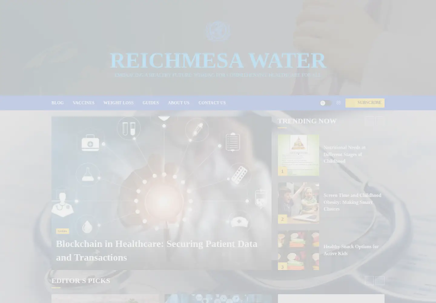 Captured homepage of reich4mesawater.com in the current scan