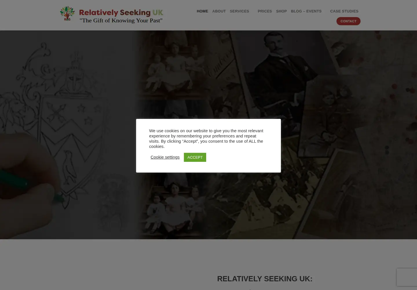 Captured homepage of relativelyseekinguk.com in the current scan