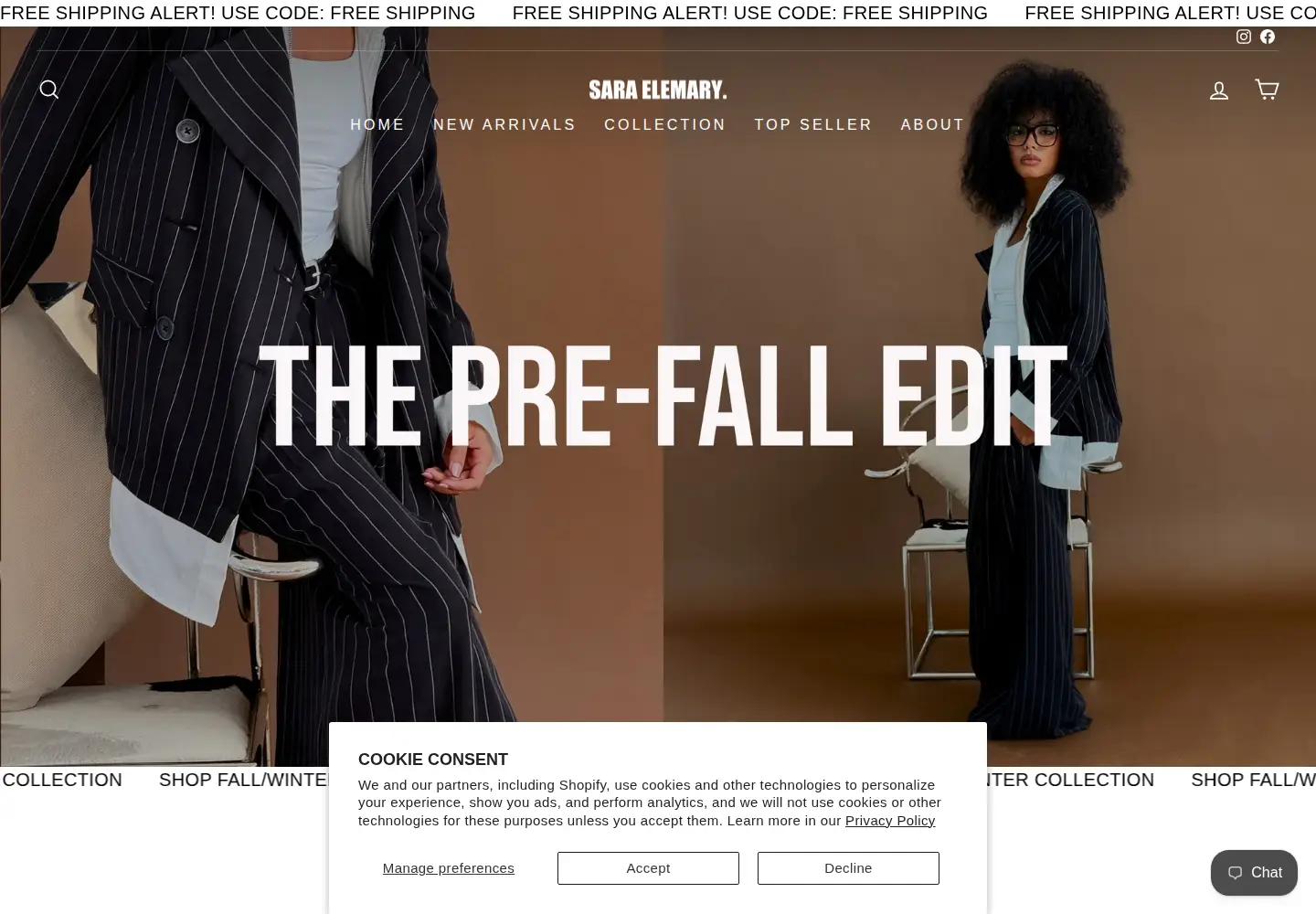 Captured homepage of saraelemaryint.com in the current scan