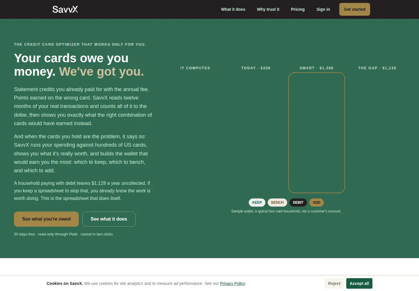 Captured homepage of savvx.com in the current scan