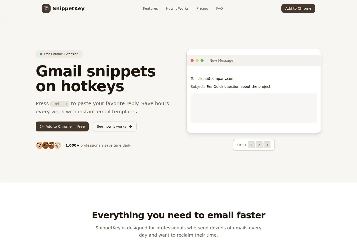 Captured homepage of snippetkey.com in the current scan