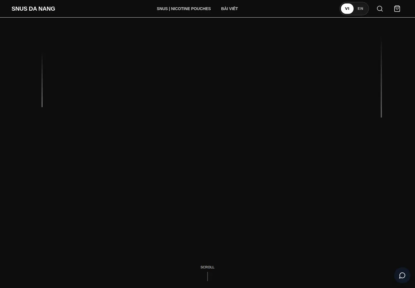 Captured homepage of snusdanang.com in the current scan