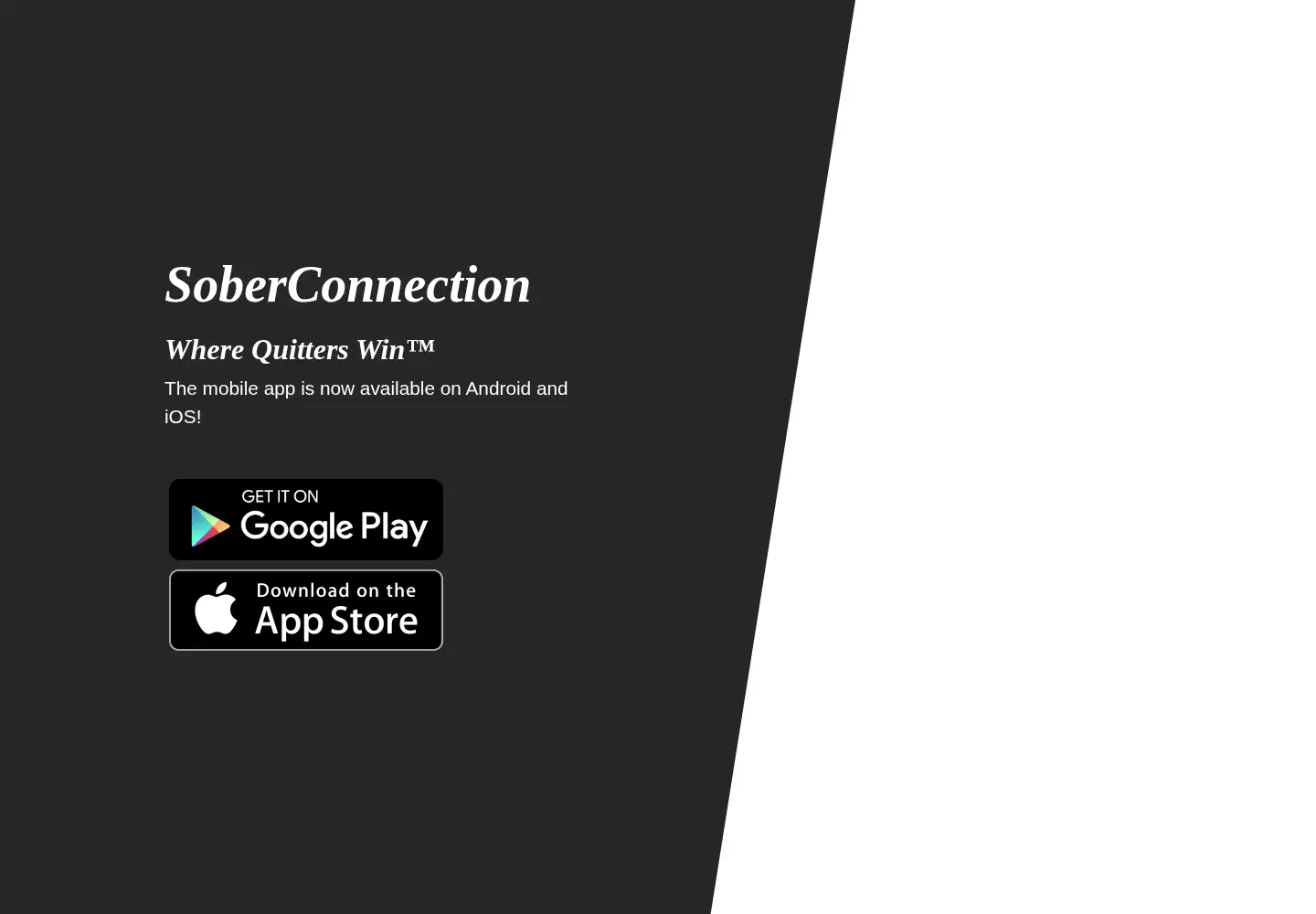 Captured homepage of soberconnection.com in the current scan