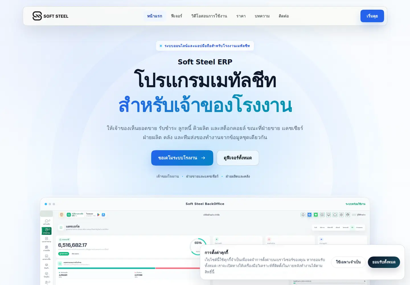 Screenshot of softsteelth.com