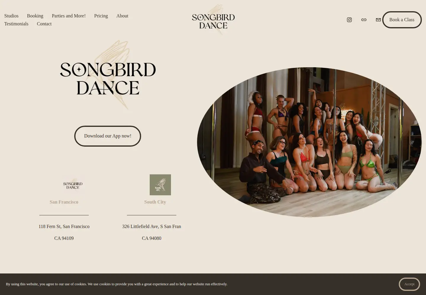 Screenshot of songbirddance.com