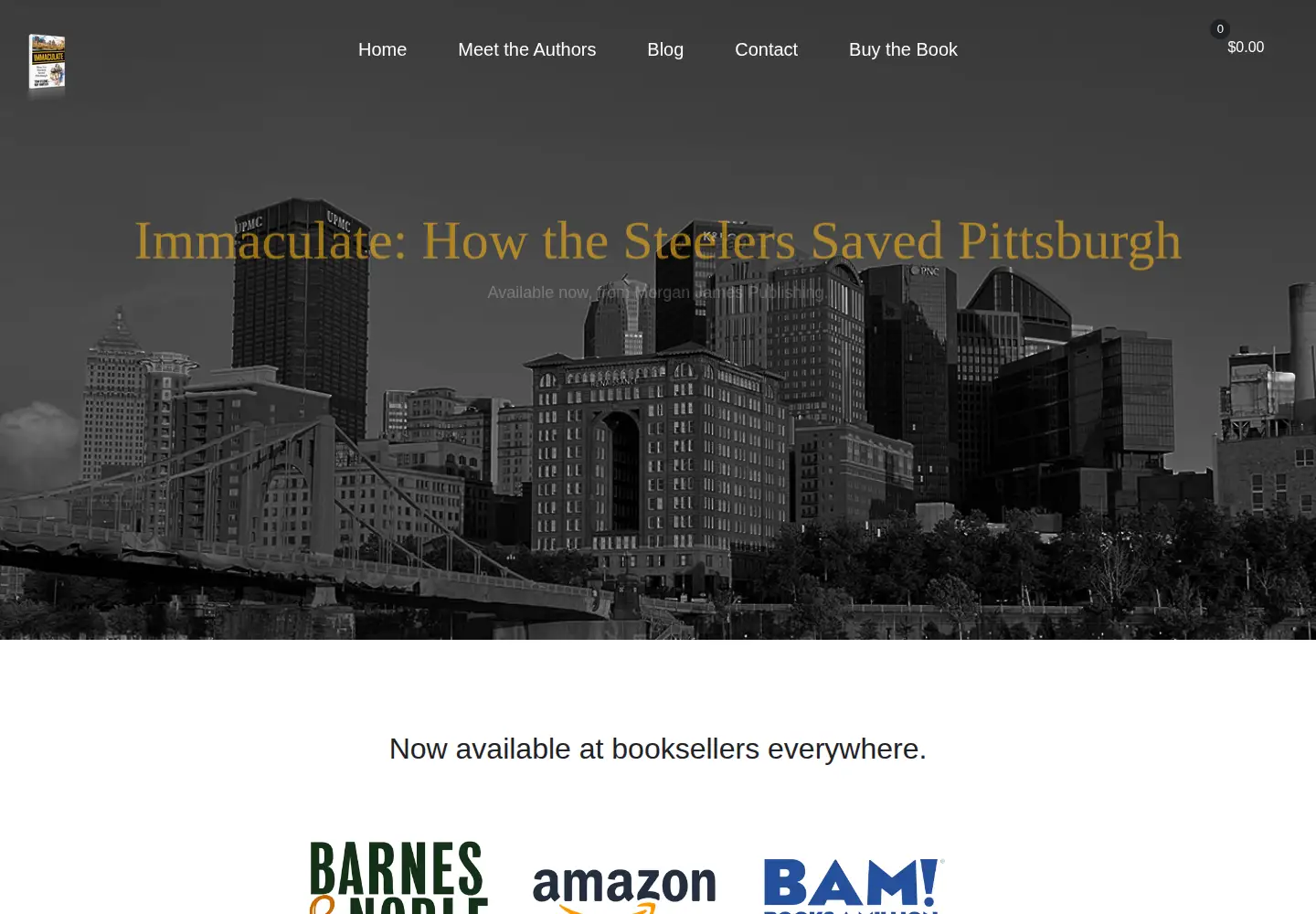 Captured homepage of steelerssavedpittsburgh.com in the current scan
