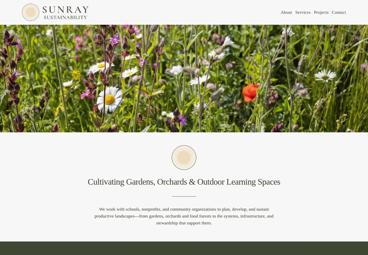 Screenshot of sunraysustainability.com