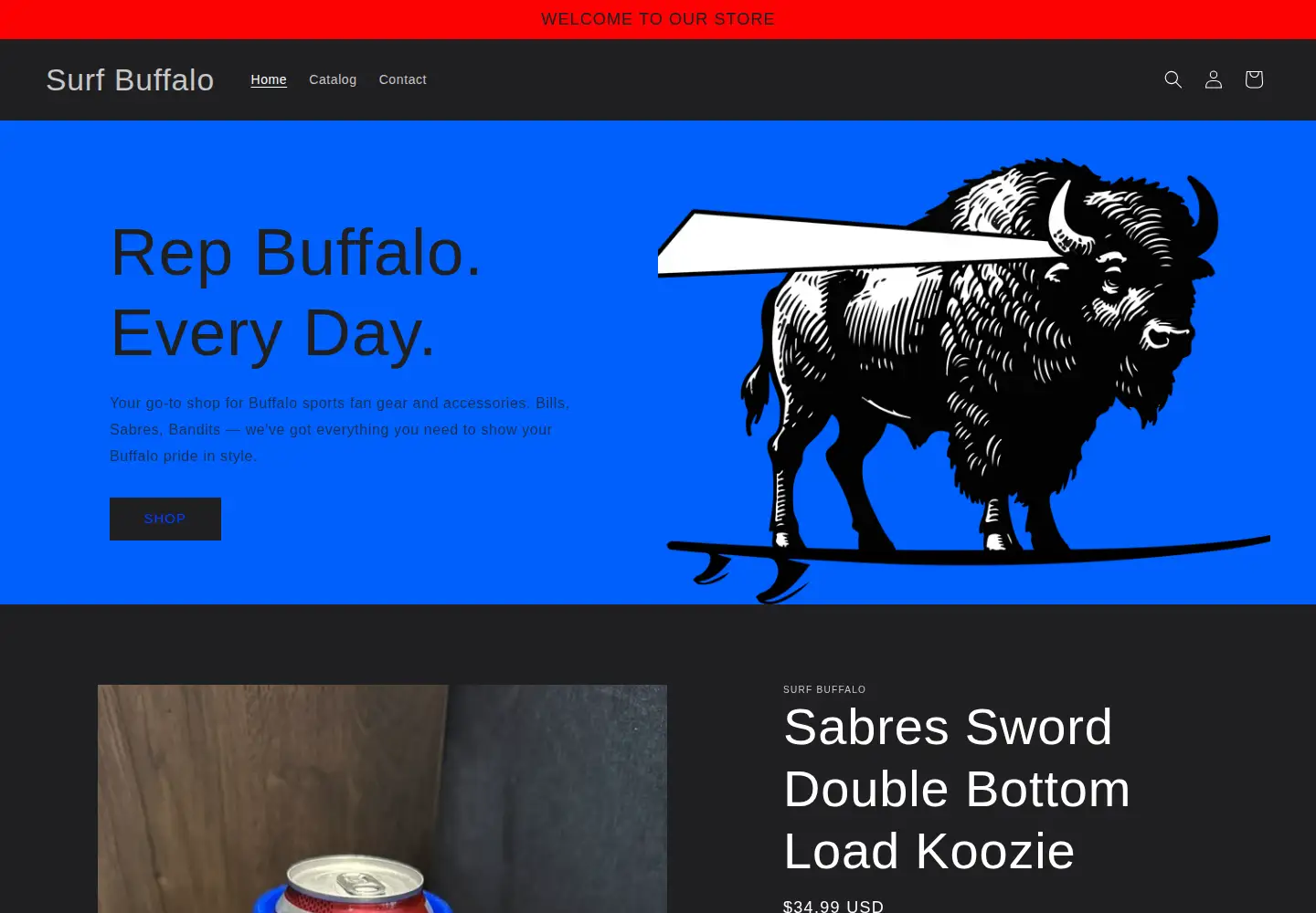 Captured homepage of surfbuffalo.com in the current scan