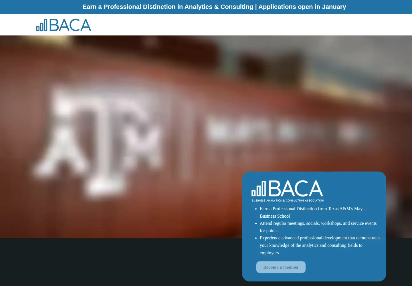 Screenshot of tamuanalyticsconsulting.com