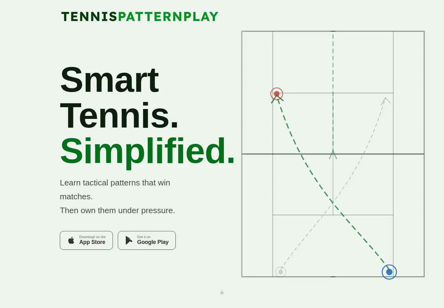 Captured homepage of tennispatternplay.com in the current scan