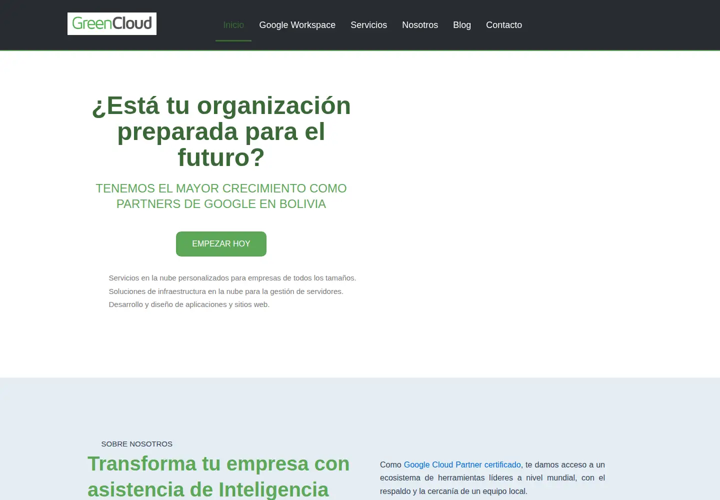 Screenshot of the-greencloud.com