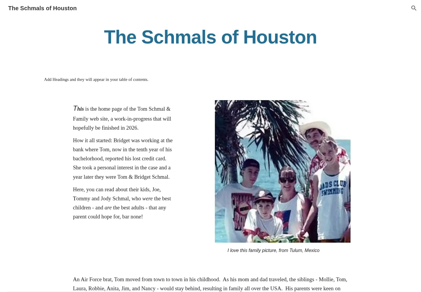 Captured homepage of theschmals.com in the current scan