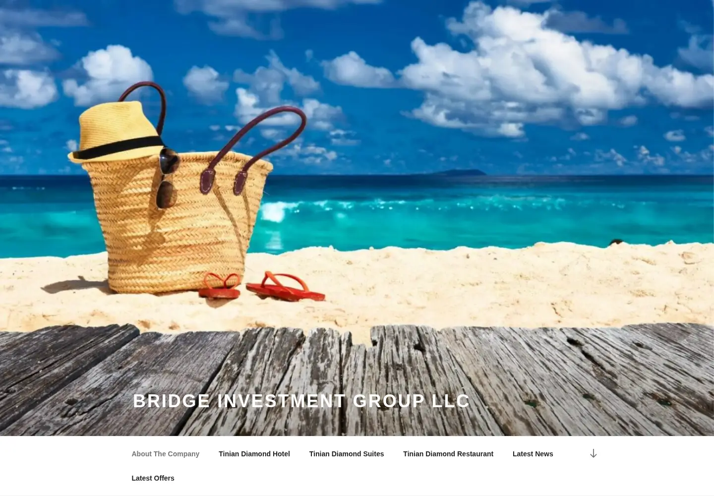 Screenshot of tiniandiamond.com