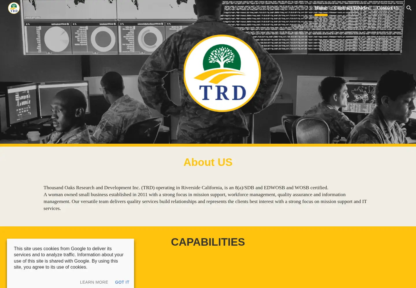 Captured homepage of trd-services.com in the current scan