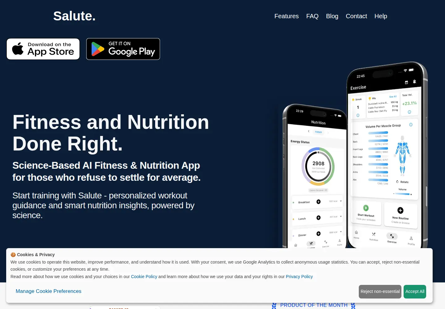 Captured homepage of trysalute.com in the current scan