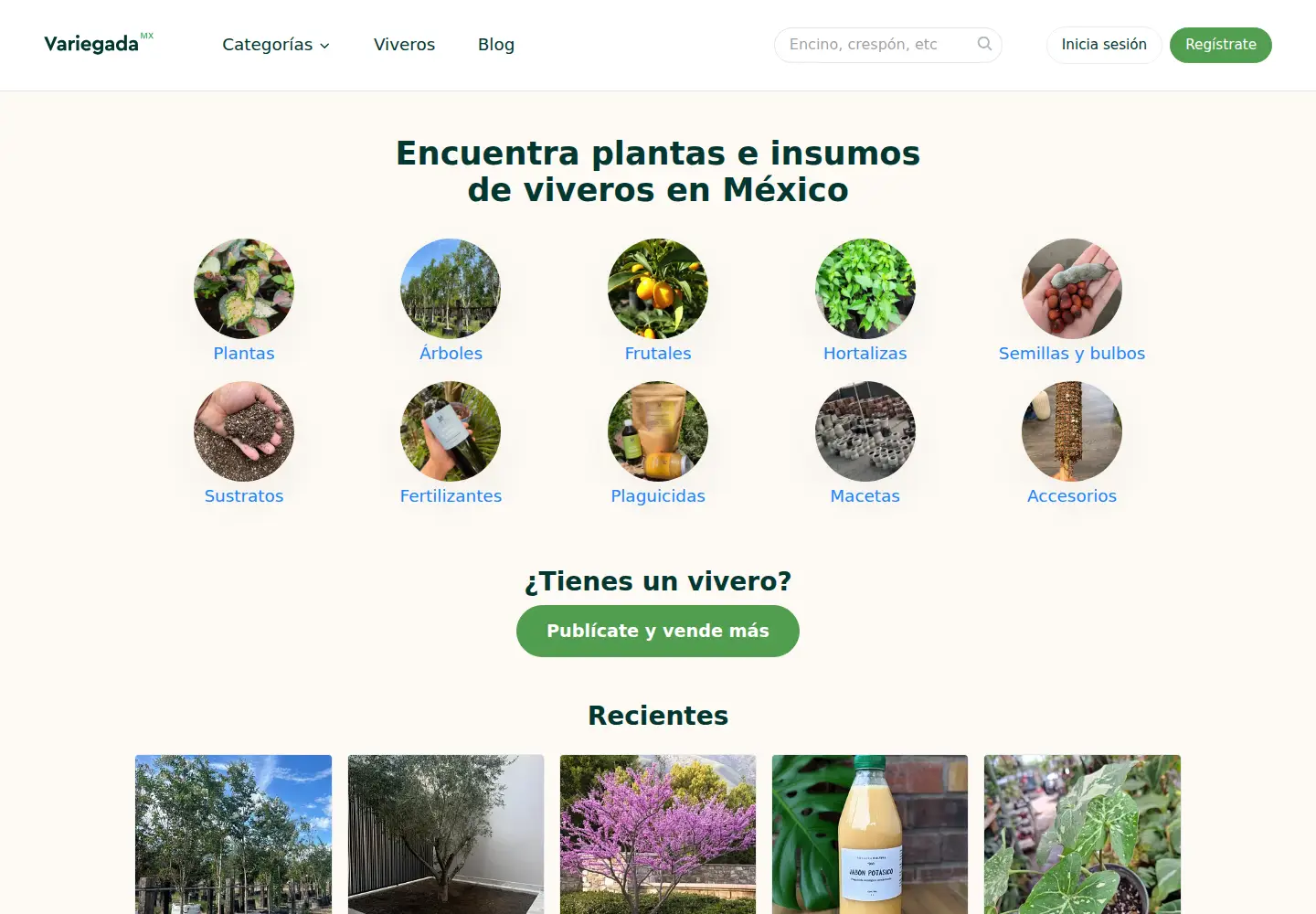 Screenshot of variegada.com