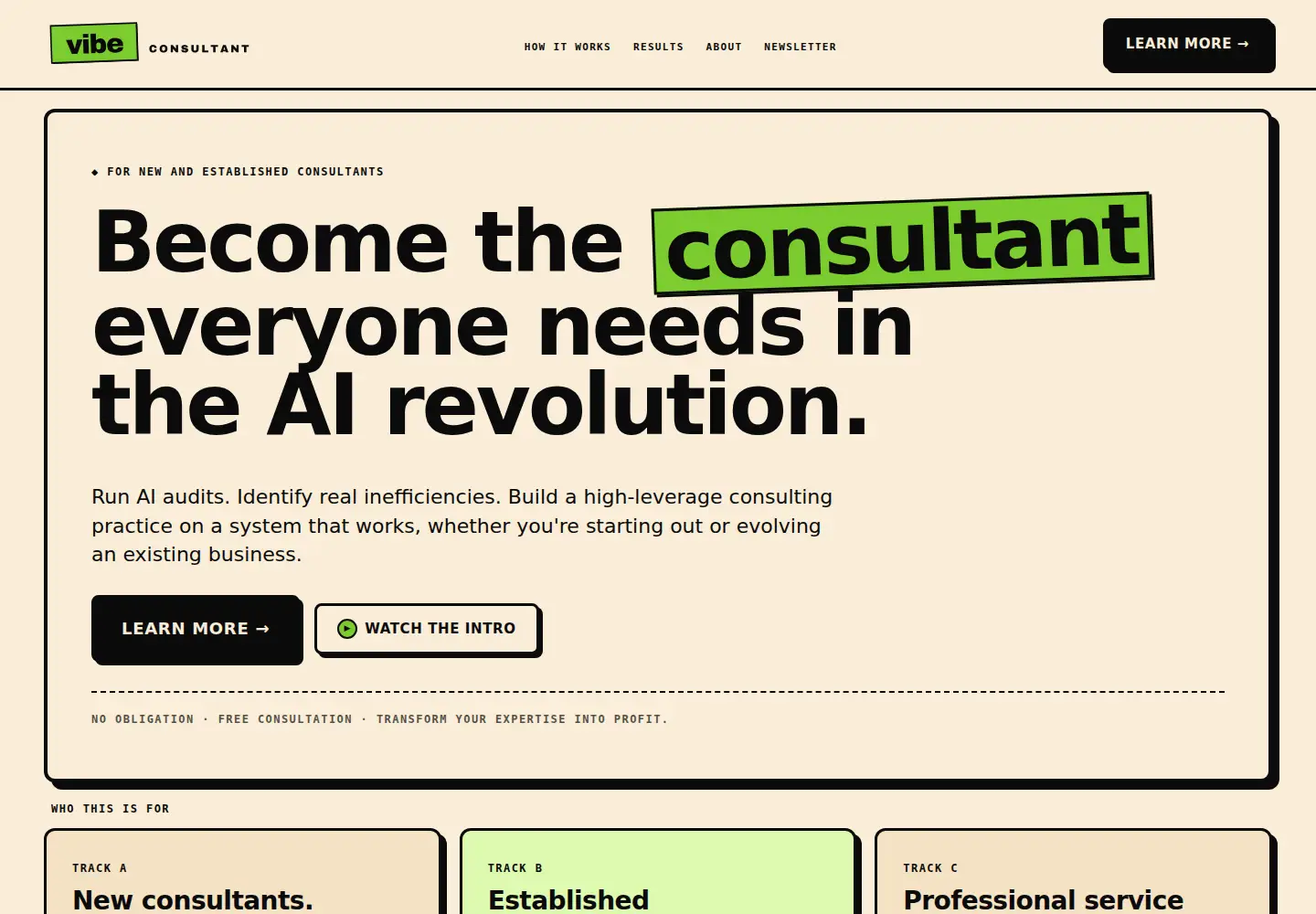 Captured homepage of vibeconsultant.com in the current scan