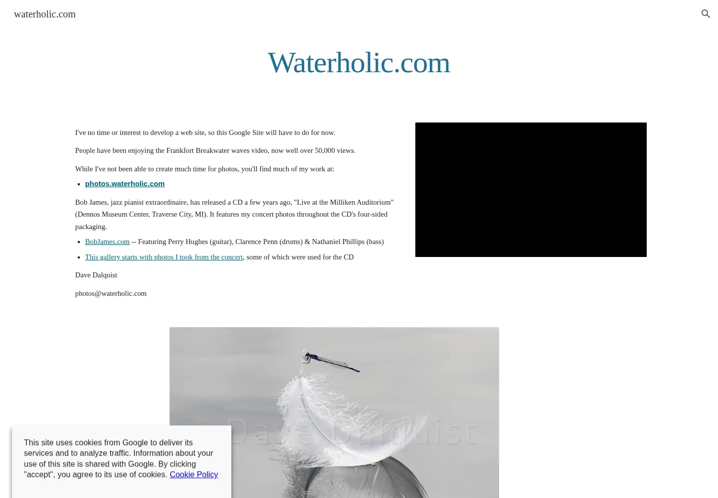 Screenshot of waterholic.com