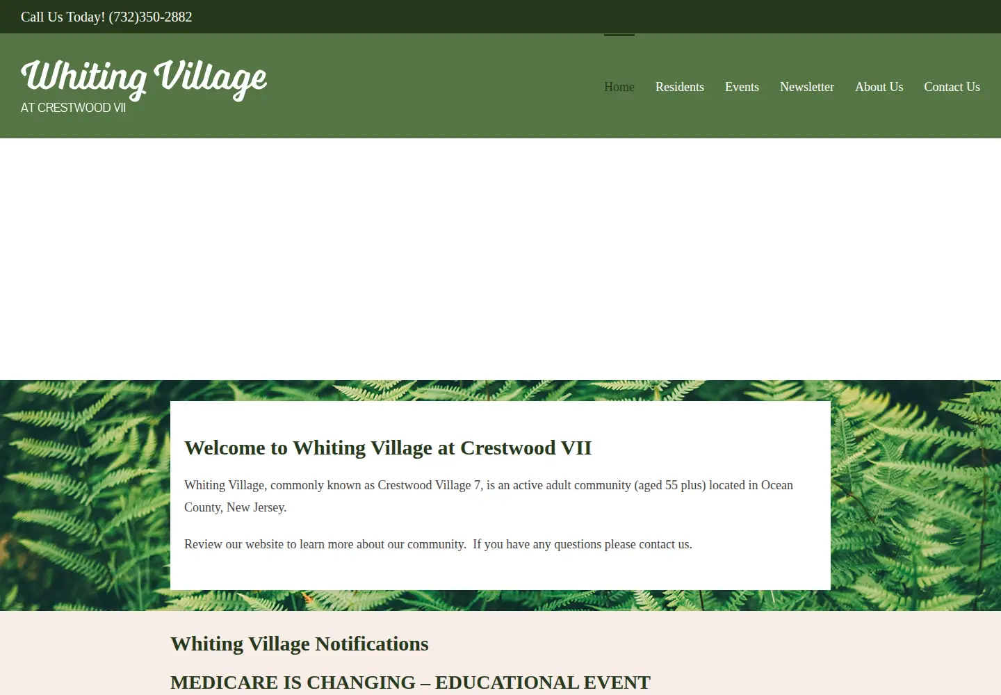 Captured homepage of whitingvillage7.com in the current scan