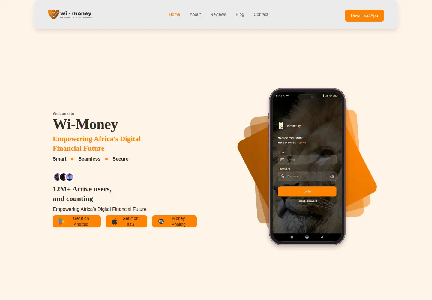 Screenshot of wi-money.com