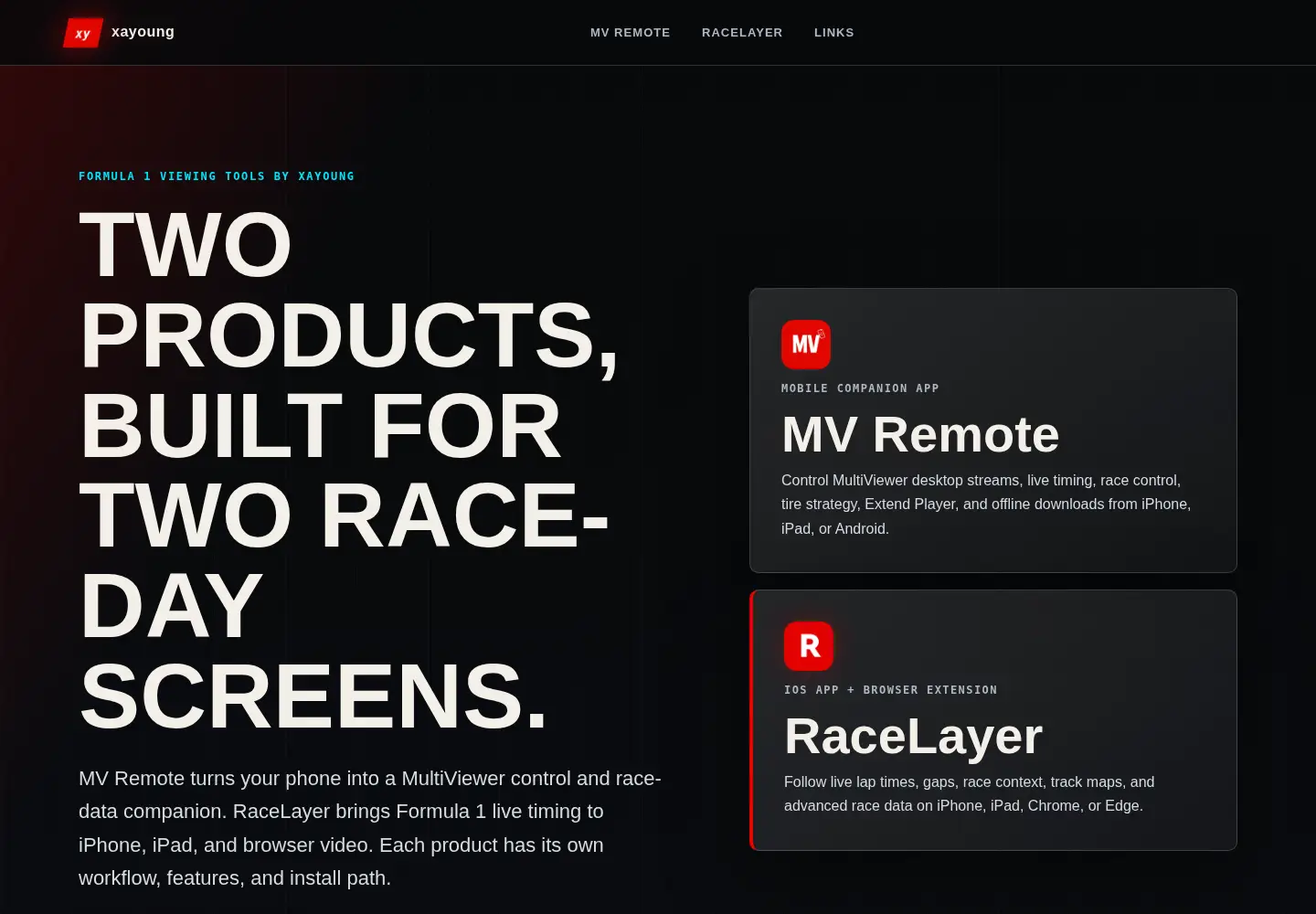 Screenshot of xayoung.com