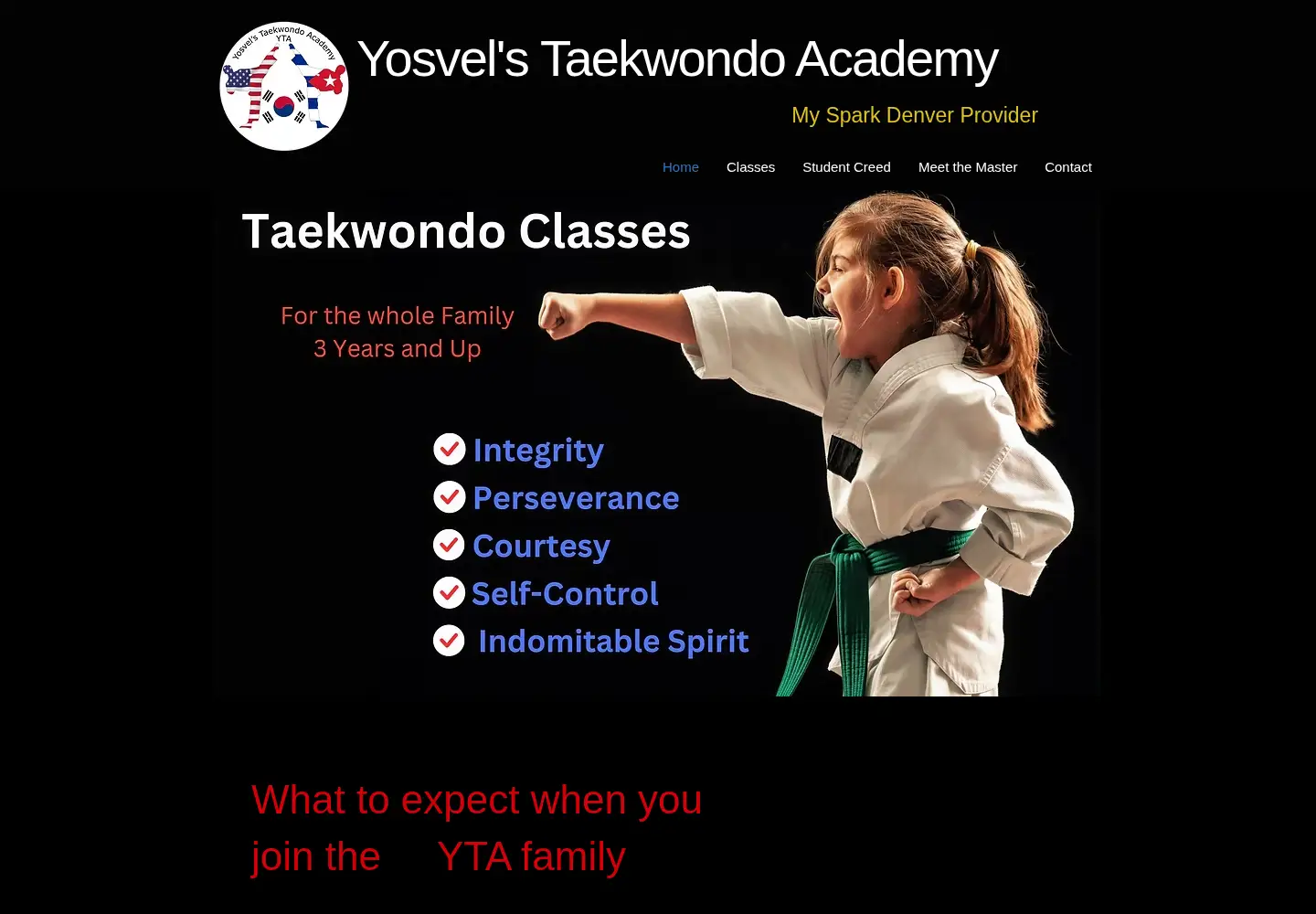 Captured homepage of yosvelstaekwondoacademy.com in the current scan
