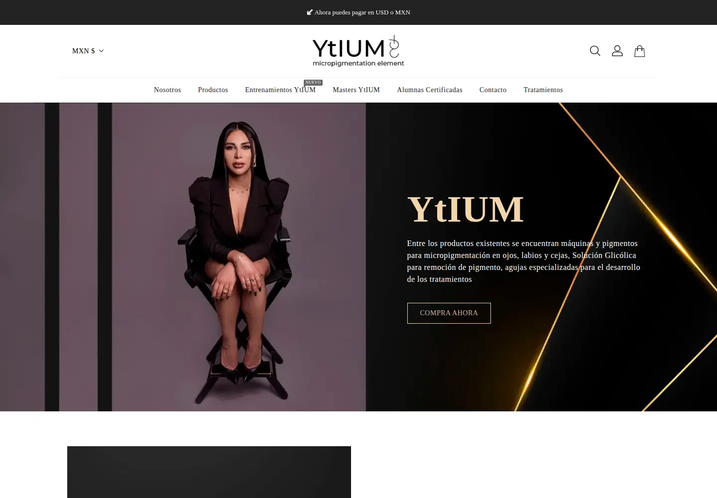 Screenshot of ytium.com